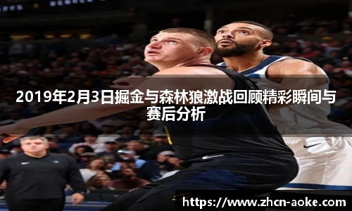 2019年2月3日掘金与森林狼激战回顾精彩瞬间与赛后分析